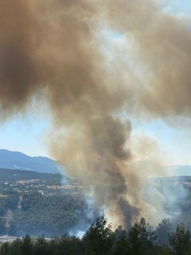KAŞ'TA ORMAN YANGINI 2 SAATTE KONTROL ALTINA ALINDI