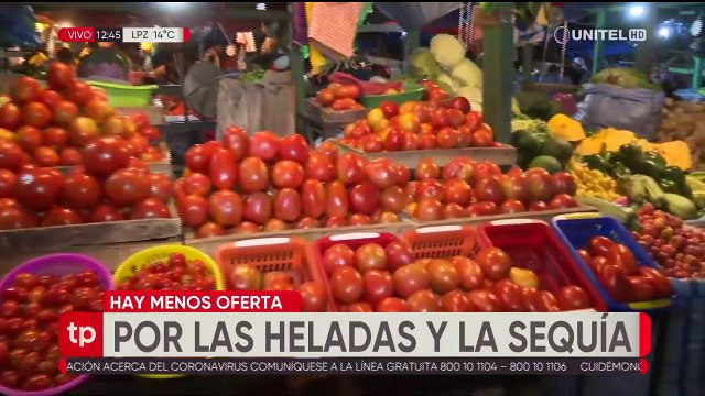 Por las sequías y las nevadas sube el precio de las verduras en mercados de Santa Cruz