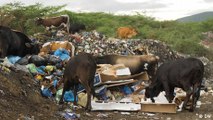 Dominikanische Republik: Plastikmüll im Surfer-Paradies