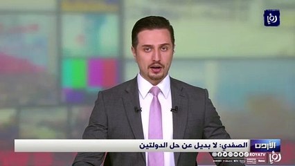 الصفدي: لا بديل عن حل الدولتين