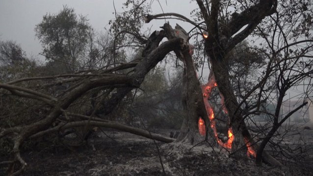 Wildfires leave scenes of destruction across Greece