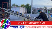 Chuyên đề kinh tế: Xuất khẩu nông sản trong điều kiện dịch bệnh