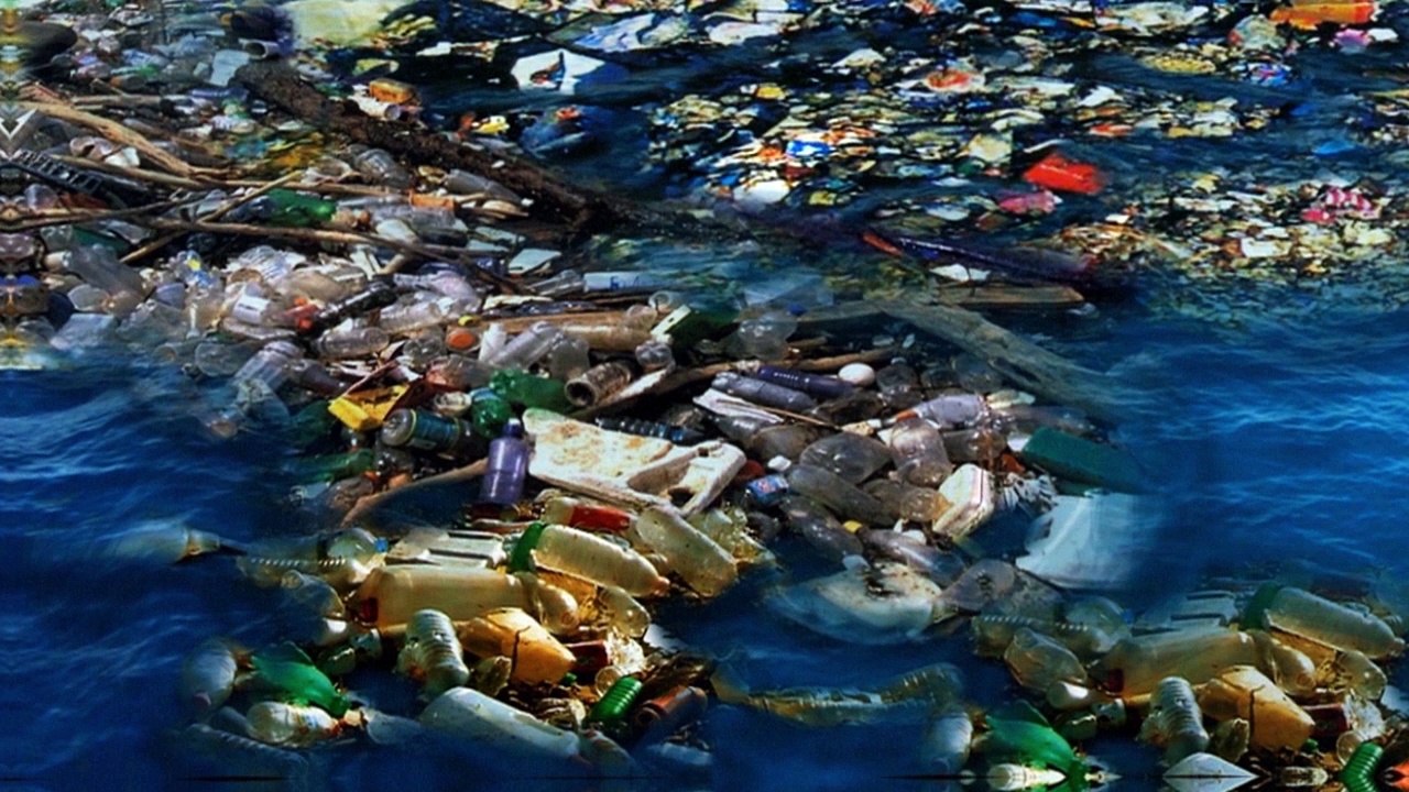 Le continent plastique
