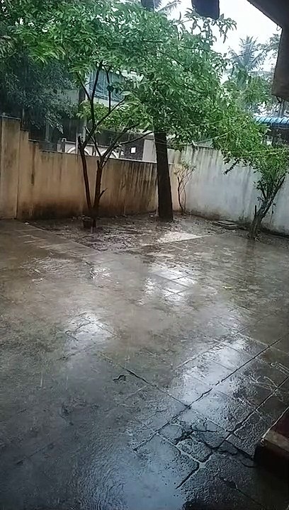 Rainy day