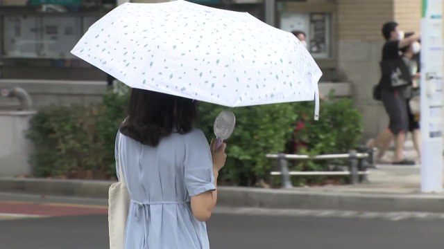 [날씨] '말복' 30℃ 안팎 낮 더위...기습 소나기 주의 / YTN