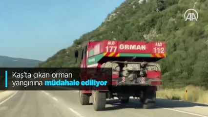 Kaş'ta çıkan orman yangınına müdahale ediliyor