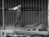 Charlie Chaplin - The Lion Cage - Full Scene (The Circus, 1928)