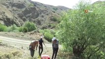Erzincan'da 400 kınalı keklik doğaya salındı