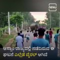 Man is Crushed to Death by an Elephant After he's Pushed to the Ground While Crowd Flees from the Rampaging Beast in Assam