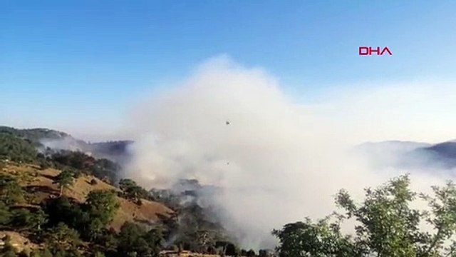 Son dakika haberleri | KÖYCEĞİZ YANGININDA, BAZI ALANLARDA ALEVLER ETKİSİNİ SÜRDÜRÜYOR