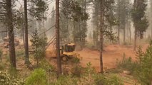 Medio mundo, afectado por graves incendios forestales