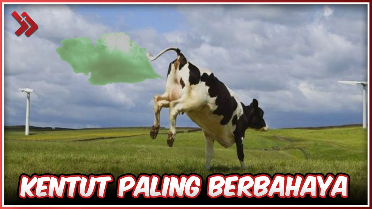 5 Kentut Paling Berbahaya di Dunia, Bisa bikin nyawa melayang!