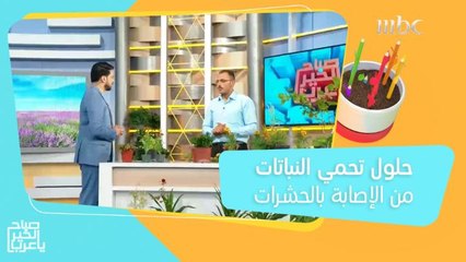 حلول مجربة للتخلص من الحشرات التي تصيب النباتات المنزلية!