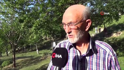 Emekli memur, köy arazisine 500'e yakın meyve fidanı dikti