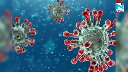 Delhi HM says Delta variant found in 80% COVID samples sent for genome sequencing