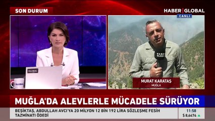 Milas ve Köyceğiz'deki yangınlarda son durum