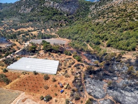 Seydikemer'de orman yangını kontrol altına alındı