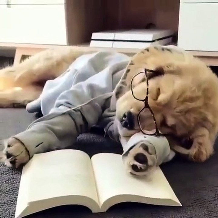 Comment allez-vous pendant vos études et aimeriez-vous dormir