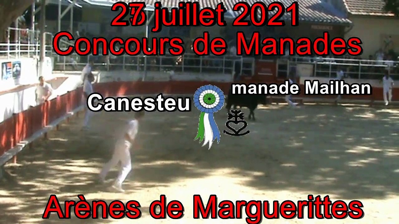 2021 07 27 Canesteu
