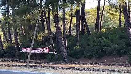 CHP'li Girgin aktardı! Akbelen ormanındaki son durum ne?