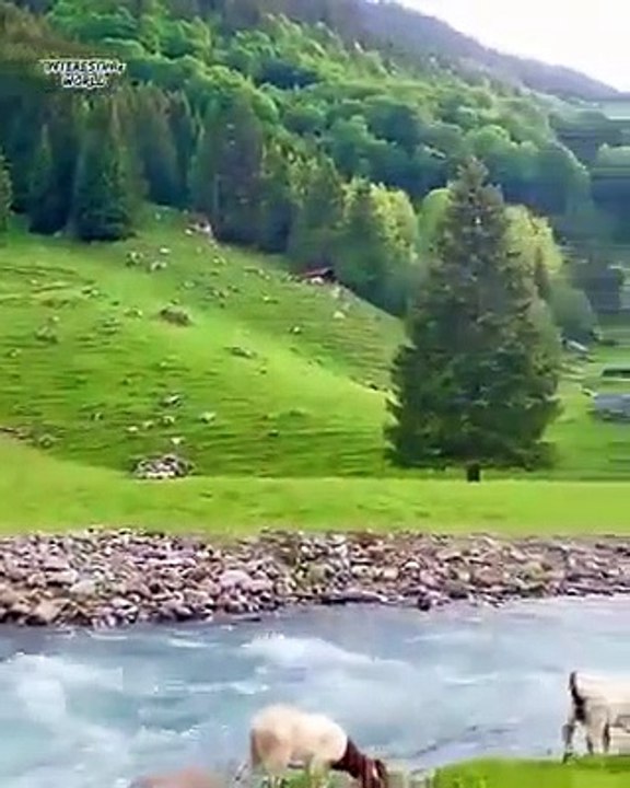 The most beautiful place