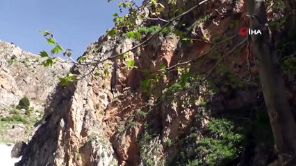 Çağlayan gibi akan Homurlu Şelalesi kuruma noktasına geldi