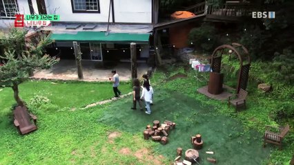 건축탐구- 집 - 나무가 자라는 집_#001