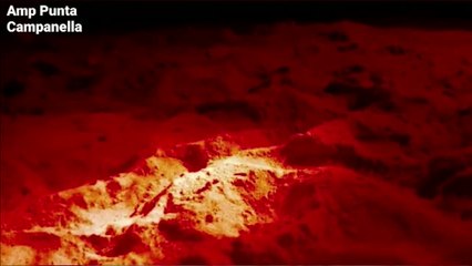 Prime nascite di tartarughe in Campania, dopo Castelvolturno anche ad Ascea