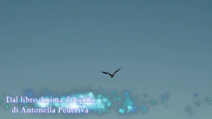 VOCI... dal libro Anima d'aquila di Antonella Pederiva
