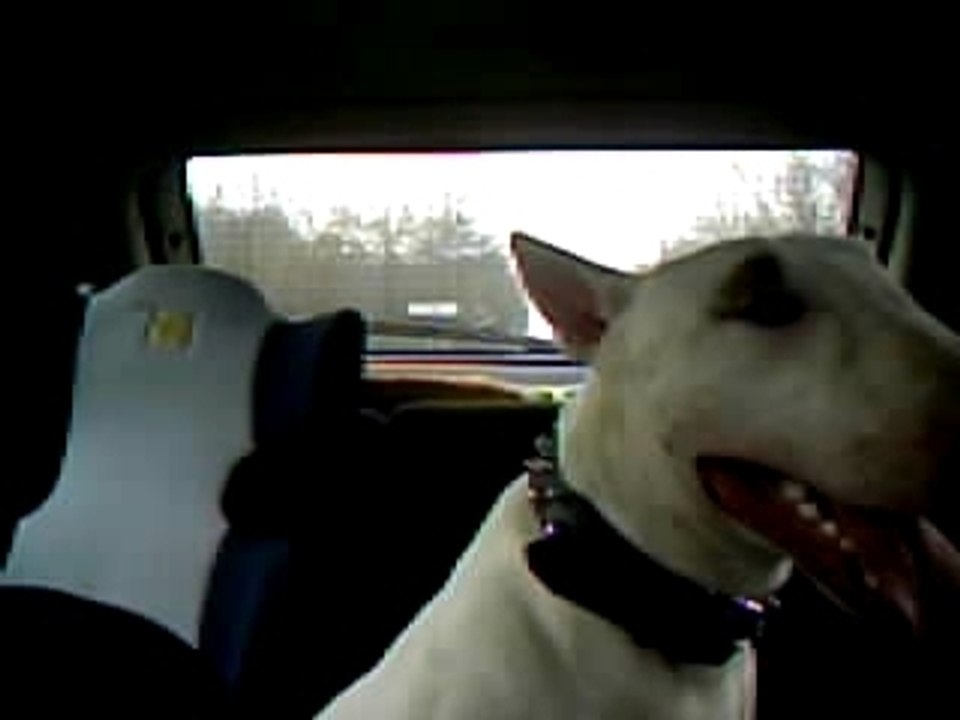 casper le loup
