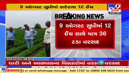 Gujarat records its lowest ever rainfall in past 7 years _ Monsoon 2021 _ TV9News