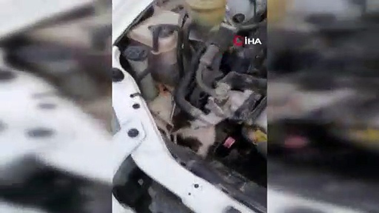Otomobilin motor kısmına sıkışan kediyi itfaiye kurtardı