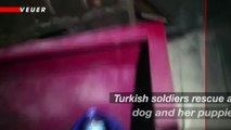 Turkish Soldiers Rescue Dog and Puppies Stranded by Wildfires in Turkey