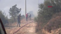 Son dakika: Bodrum'da makilik ve otluk alanda yangın (3)