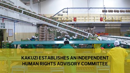 Kakuzi establishes an Independent Human Rights Advisory Committee