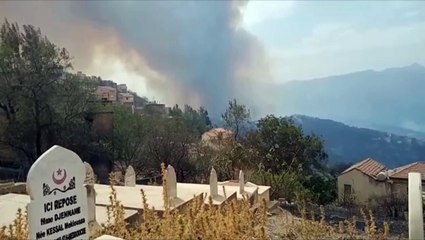 مقتل سبعة جراء حرائق الغابات في الجزائر