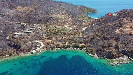 17 yıllık anıları yangınla birlikte küle döndü