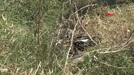 ÇÖP SANDIĞI AYAKKABIYI ALMAK İSTERKEN CESET BULDU