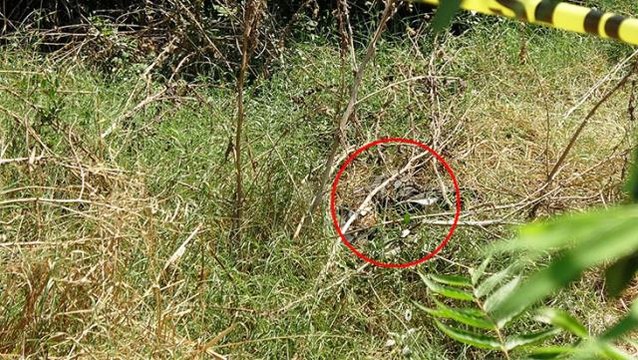 Çöp sandığı ayakkabıyı almak için girdiği çalılıkta cansız bir beden buldu