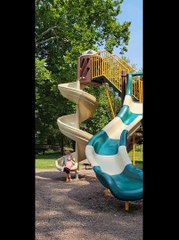 Corgi Races to Play on Swirly Slide