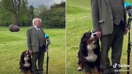Presidente irlandês e o seu cão de estimação