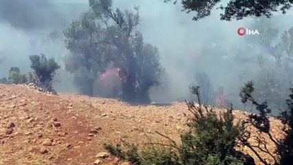 Seydikemer’de otluk alanda başlayan yangın ormana sıçradı