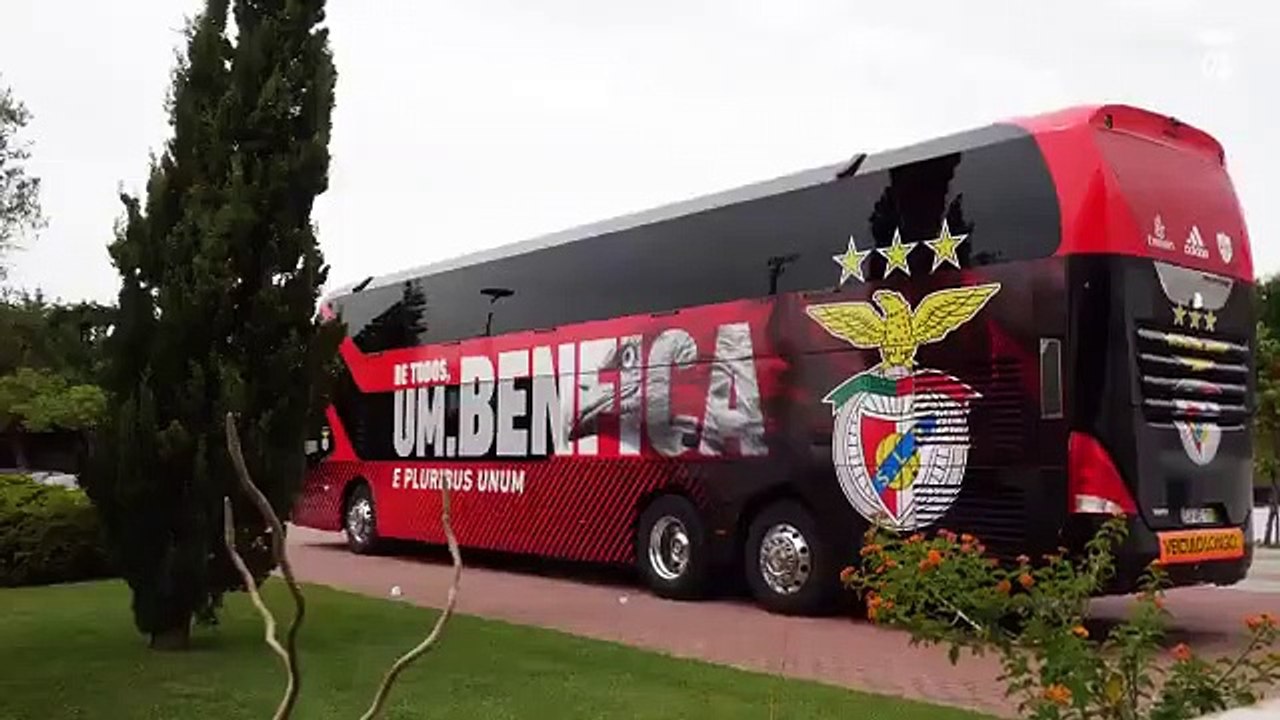 Benfica Apoio