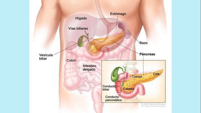 bd-causas-de-la-pancreatitis-100821