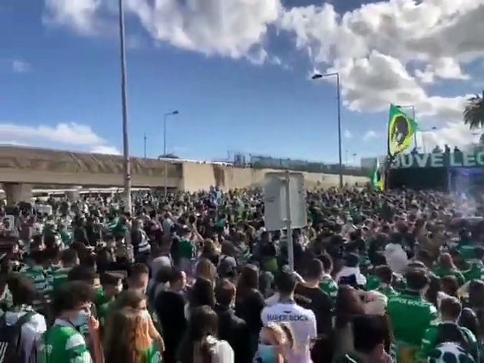 Adeptos fazem a festa em Alvalade
