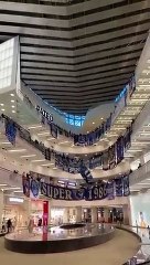 Super Dragões