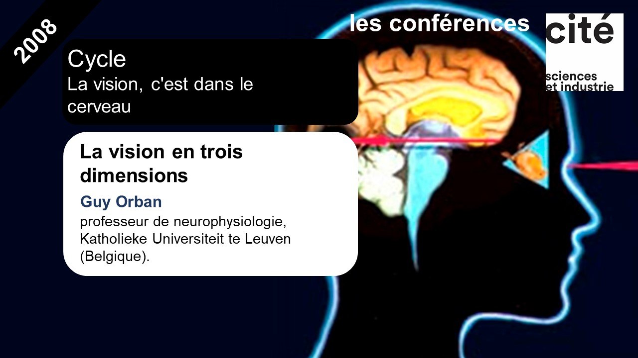 La vision en trois dimensions
