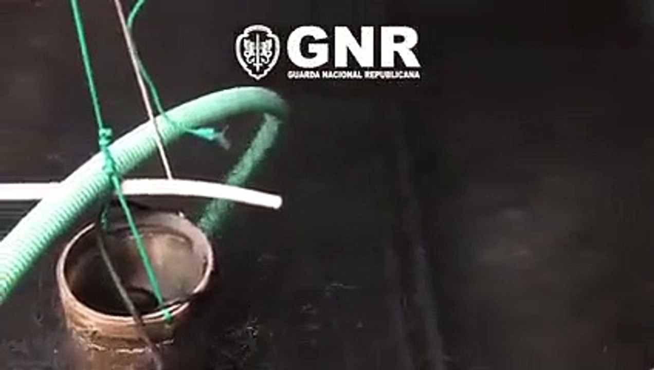 Meixão, GNR