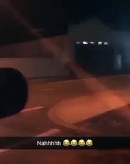 Vaca escapa de carrinha de transporte a caminho de matadouro nos EUA