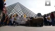 O dia em que as ovelhas invadiram o Museu do Louvre